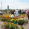 遠別町では、今年も フレッシュ市場「花菜夢（かなむ）」 の直売が、道の駅「えんべつ富士見」にて開催！