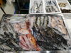 令和8年6月15日 店内「📣本日入荷のお魚情報🐟」