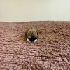 おかげさまでオープンから丸5年を迎えました