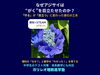 アジサイの花びらに見える萼（がく）。なぜ萼が目立つように進化したのかを探究×STEAMの視点で解説「なぜアジサイは萼（がく）を目立たせたのか？ 花びらではなく萼が主役になった理由を解説｜八王子めじろ台の個別指導『ガリレオ理数進学塾』」