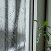 【出張限定】雨の日はお家で待つだけ♪ 買取金額最大20%UPキャンペーン＆梅雨の賢いお片付け術☔
