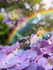 紫陽花に隠れた猫、虹の先には「【茅野市 気功・整体】「今の自分」をやさしく受け止めるという選択」