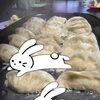 うさぎは1羽2羽？　うちの小学生のとんち話と、会津鶏カレー餃子の“そろそろ終わり”