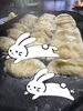 うさぎは1羽2羽？じゃ明日も餃子？「うさぎは1羽2羽？　うちの小学生のとんち話と、会津鶏カレー餃子の“そろそろ終わり”」