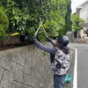 道路沿い生垣の剪定と植栽まわりの清掃を行いました🌿