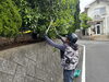 「道路沿い生垣の剪定と植栽まわりの清掃を行いました🌿」