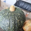 愚痴っちゃいます