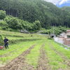 地域の方が畑に管理機を掛けてくださいました。