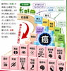 「代謝の乱れが身体の不調をつくる」