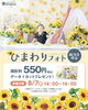 夏の思い出、ひまわりフォト！「【下諏訪町】8月7日ひまわりフォト　撮影会開催のお知らせ｜シャレニ―諏訪店」