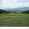 シーズナルギフトvol.60【信州のお菓子、伊那手土産といえば。スイーツギフト】
