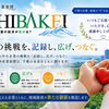 かずさーズ編集部【千葉県の人手不足を徹底分析】ちば経済産業新聞6月号発行｜整備士半減・大工3分の1の現実とは