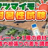 サツマイモの発根に差が出る!? ４つの資材を用いて環境負荷に負けない植え付けを考えてみました。。　たねのハシモトミヤ