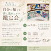 運命のカードが導く、心満ちる鑑定会「7/11(土)開催！Himi先生のタロット鑑定会＠アイリッシュカフェ」