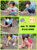 ひまわりの種まきをしたよ🌻「ひまわりの種まきをしたよ🌻【交野市・小規模保育園】」