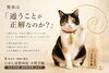 枚方市の本格整体院「整体は通うことが正解なのか？｜枚方市樟葉の整体院」