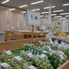 『胎内ふれあい逢菜館』のおすすめ(＾ω＾)☆