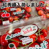 紅秀峰入荷しました！！