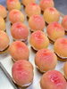 「今年もスタート！まるごともものタルトのご案内」