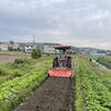 NO162　田植えも終わりボチボチ