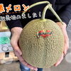 🍈夕張メロン販売始めました🍈
