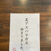 きたじま農園の夏アスパラガス入荷しました【西葛西の和食・穴子専門店】
