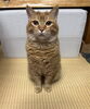 「３歳になりました！」
