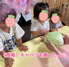「キャベツを触ったよ【小規模保育園】」