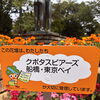 🍊 街ぐるみでおもてなし－その⑩　オレンジ花壇のその後　編－
