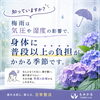 「梅雨の不調は「怠け」ではなく季節のサインかもしれません」