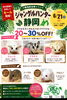 「ジャングルハンター静岡　続報です！」