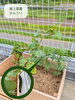 「【屋上菜園で見つけた こっそり育ったきゅうり】」