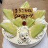 初夏のデコレーションケーキ