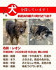「迷い犬情報⑤【新居浜市種子川町付近】」