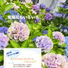 体験モニターさん募集中♡