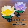 大切なご先祖様をお迎えするお盆の季節が近づいてきました🤗お盆の準備はお早目に✨