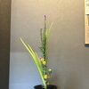 夏の花
