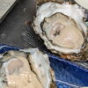 【魚も酒も自ら厳選する瑞江の小料理屋】鹿島産岩牡蠣  オススメです！