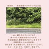 出産後、がんばりすぎている心に甘える許可を