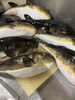 「小樽沖で釣れた、河豚、ヒラメ、‼️」