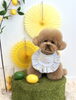 くまくん「わんことレモン🍋」