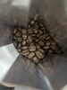 「―　コーヒー豆　チャン　―」
