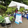 大賀ハスまつり②　若葉保健福祉センター・・・千葉市里親制度説明会開催！　子どもが家庭で育つ機会を　千葉事務所　都賀駅徒歩５分