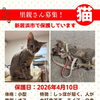 【愛媛県新居浜市】里親募集のお知らせ！