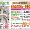 【15周年感謝】全メニュー20%OFFキャンペーン！✨6月末まで✨