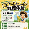 7/4(土)開催！美菜ファーム兵庫でスイートコーン収穫体験🌽