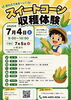「7/4(土)開催！美菜ファーム兵庫でスイートコーン収穫体験🌽」