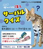 「広まれ！サーバル推し　サーバルクイズ」
