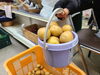 夏野菜フェア‼️300円‼️「メロンフェア‼️」