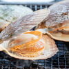 6月25日㈭お休みいたします！申し訳ございません！